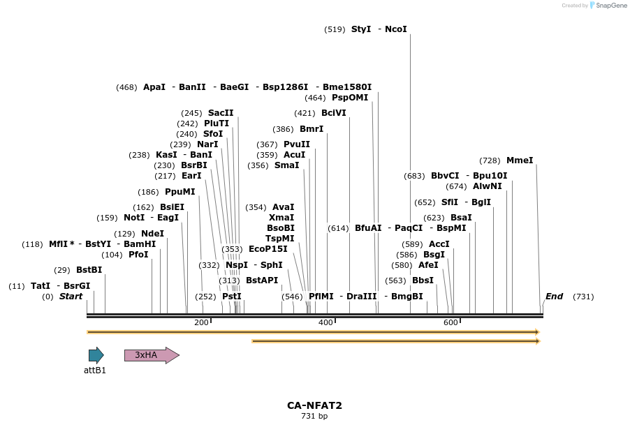 97494_map