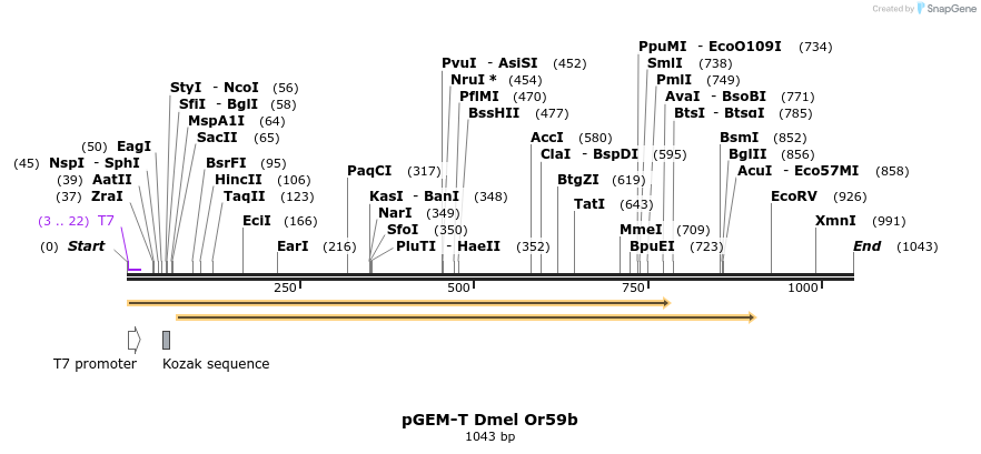 97495_map