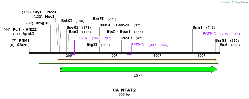 97496_map