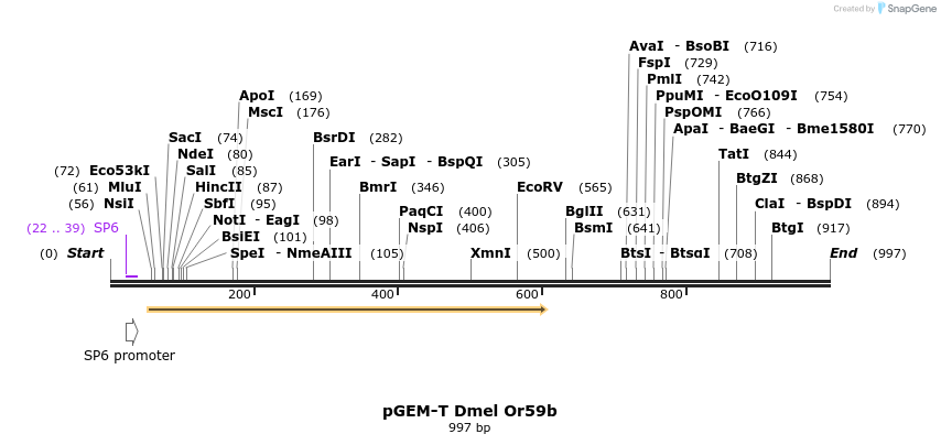 97497_map