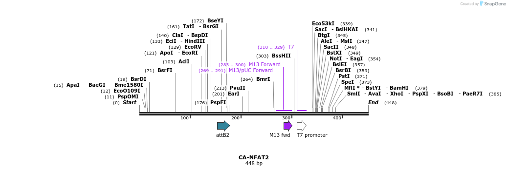 97498_map