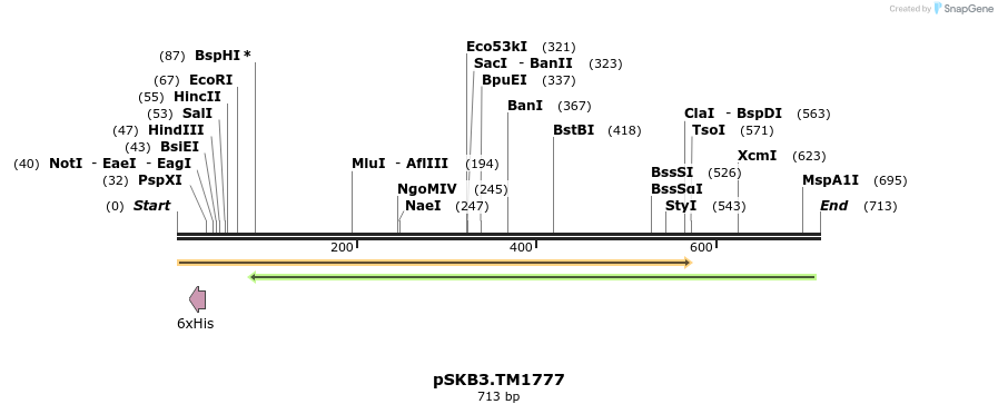 97499_map