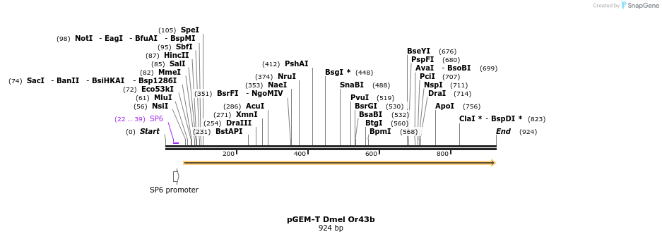 97501_map