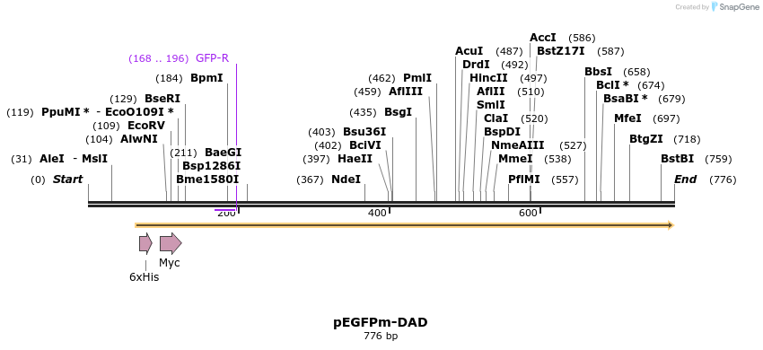 97502_map
