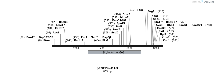 97503_map