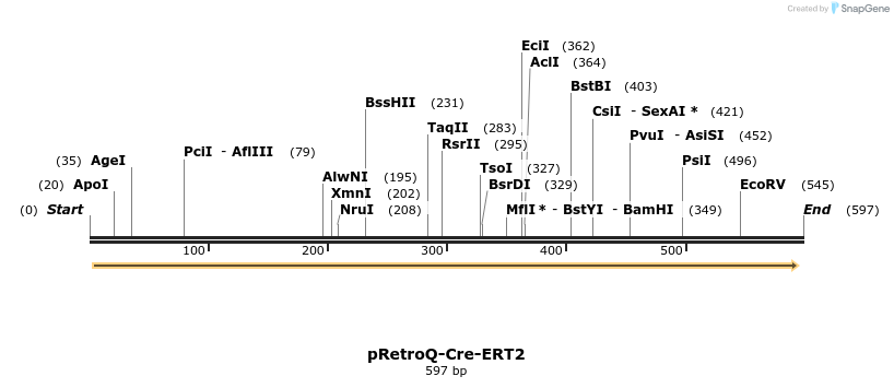 97504_map