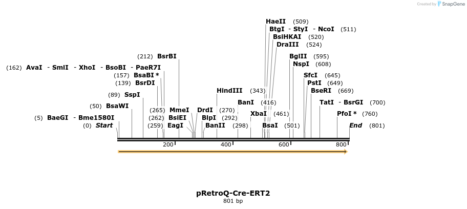 97506_map