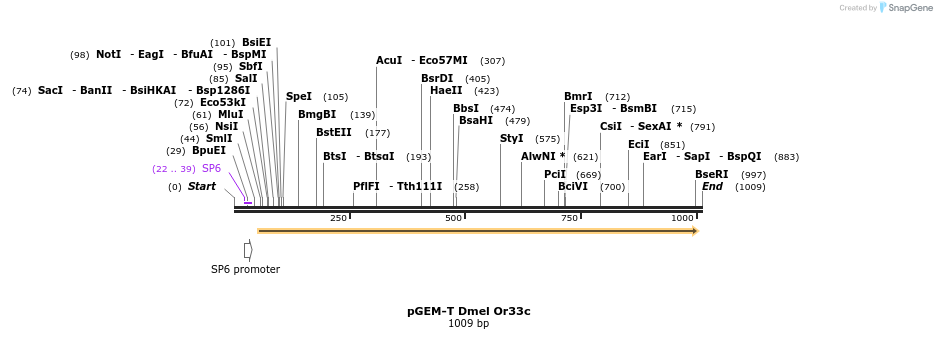 97510_map