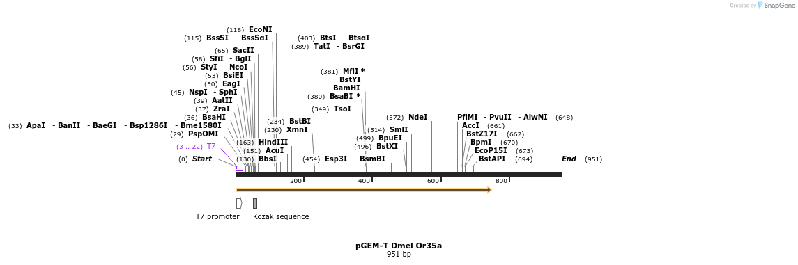 97511_map