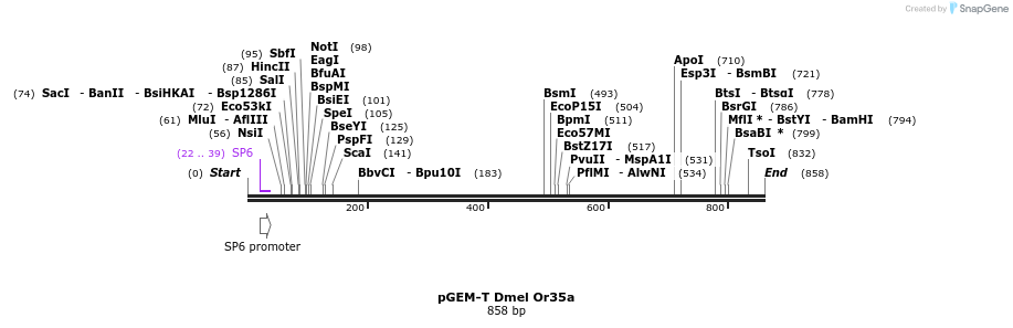 97512_map