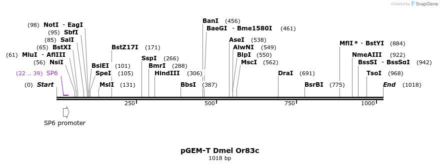 97514_map