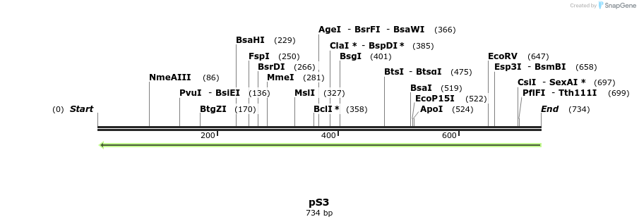 97554_map