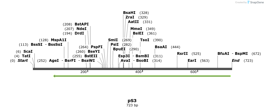 97555_map