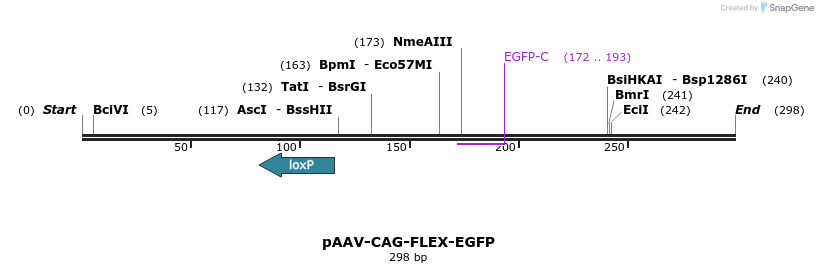 97560_map