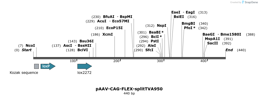 97561_map