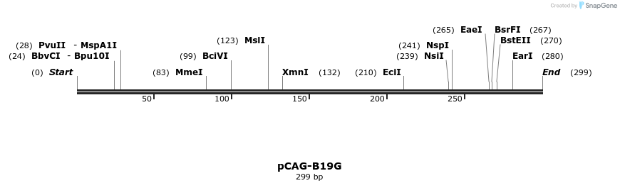 97563_map