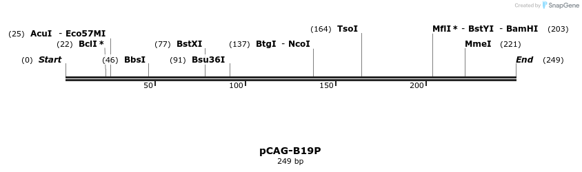97564_map
