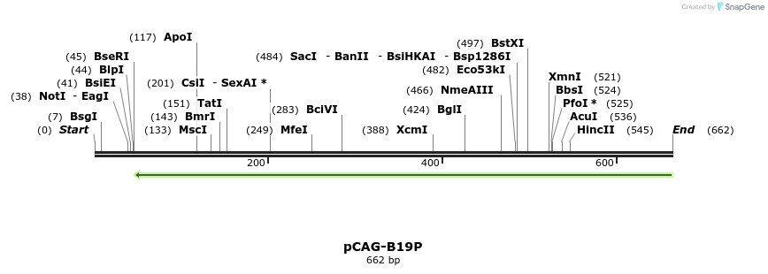 97565_map