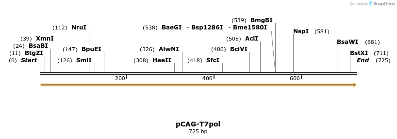 97566_map