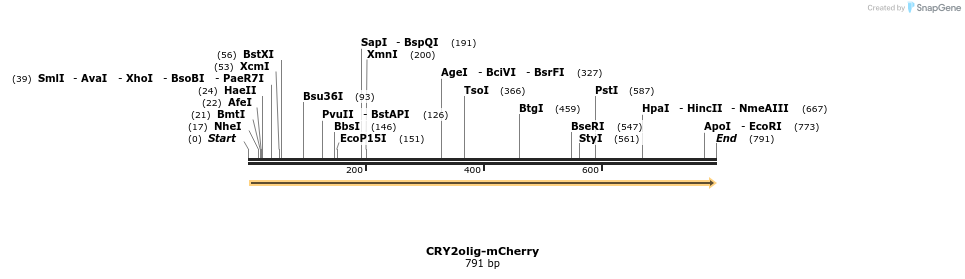 97569_map