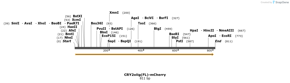 97570_map