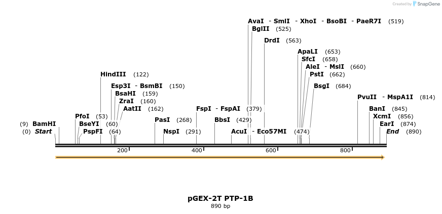 97572_map