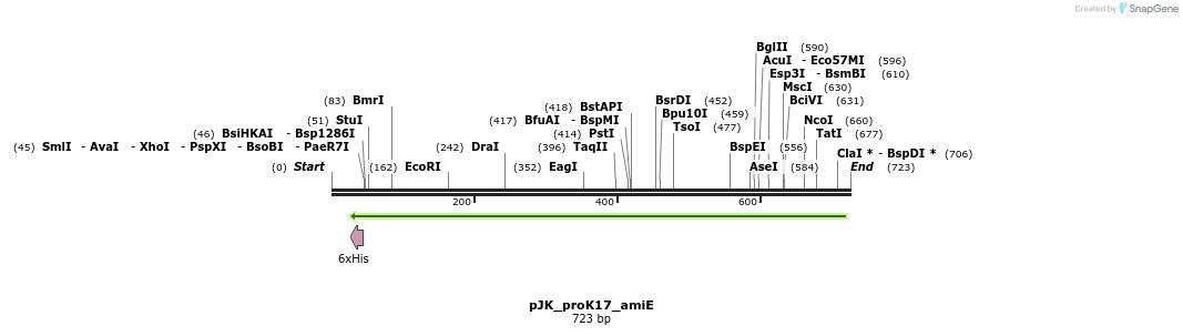 97575_map