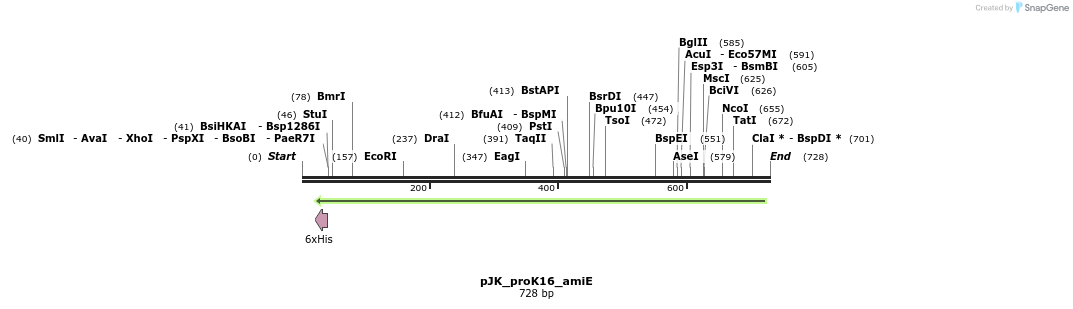 97577_map