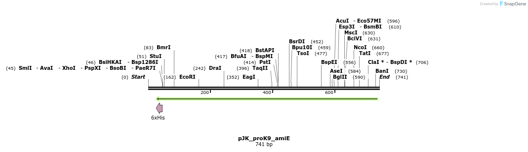 97582_map