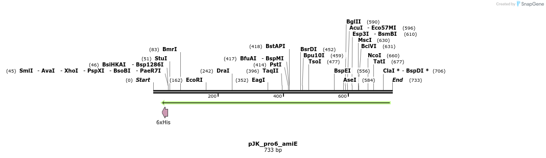 97590_map