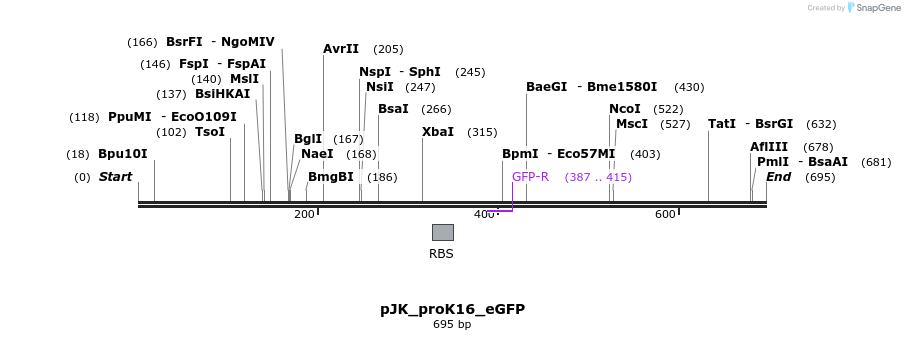 97595_map