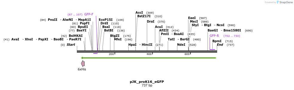 97596_map