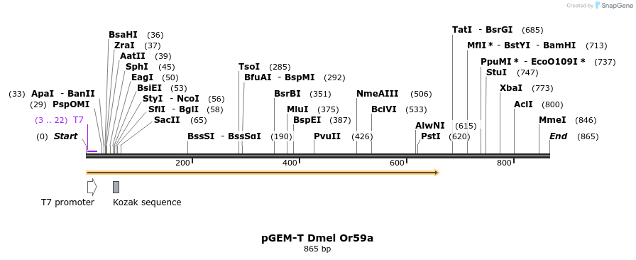 97604_map