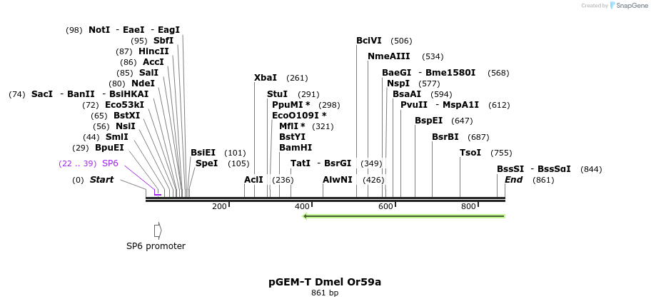 97605_map