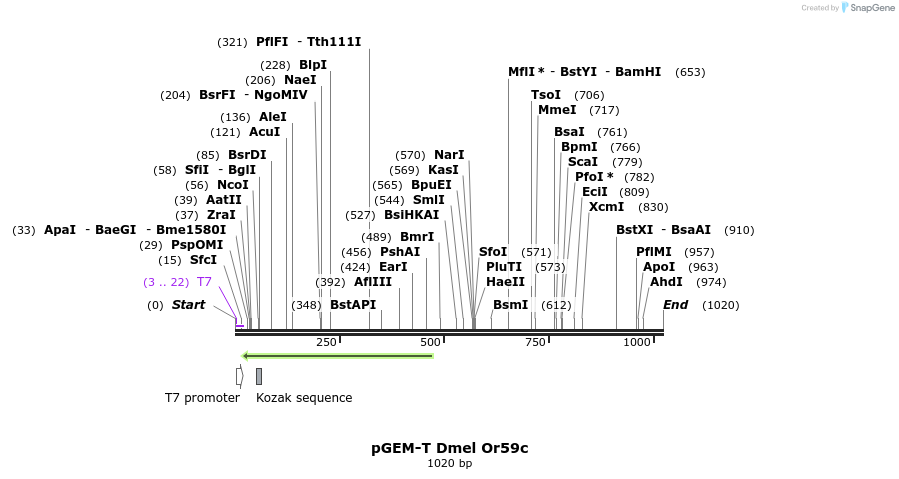 97606_map