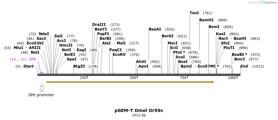 97607_map