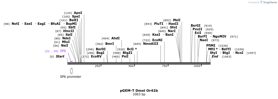 97609_map