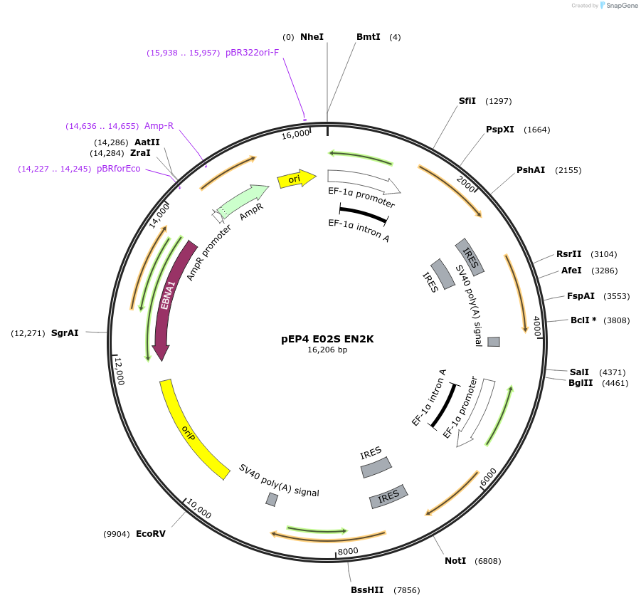 9761_map