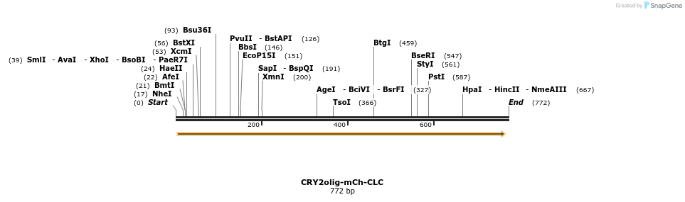 97611_map