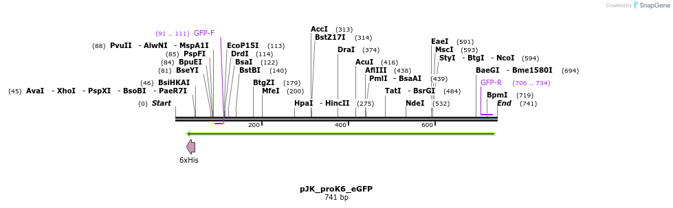 97613_map
