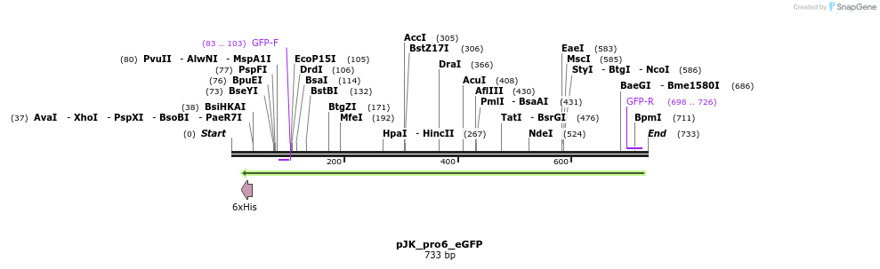 97616_map
