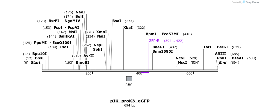 97617_map