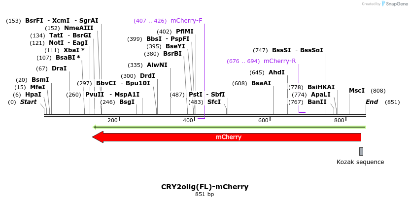 97618_map