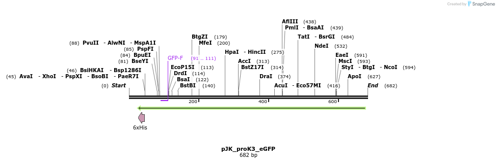 97619_map