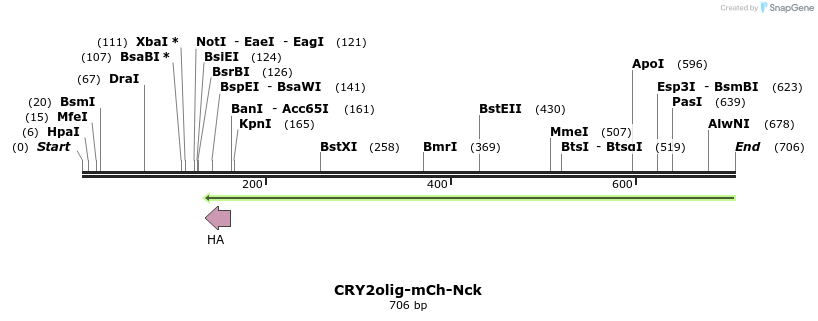 97620_map