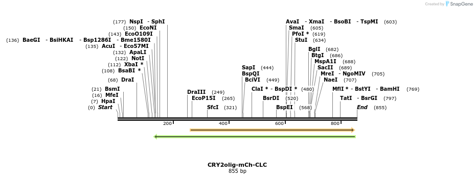 97621_map