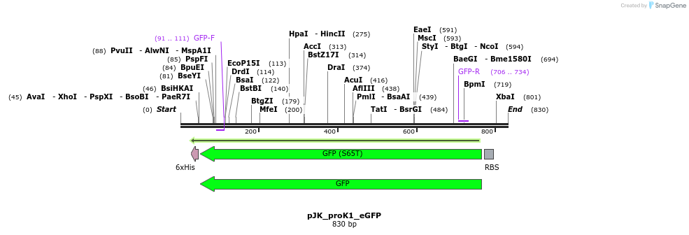97623_map