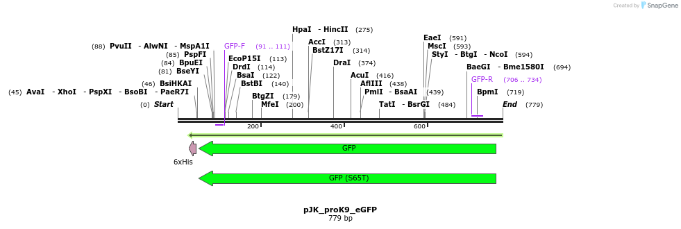 97624_map