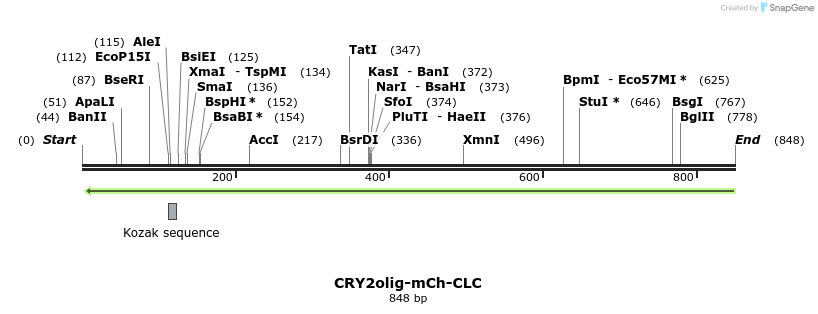 97625_map