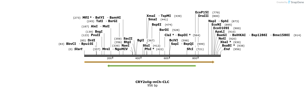 97626_map